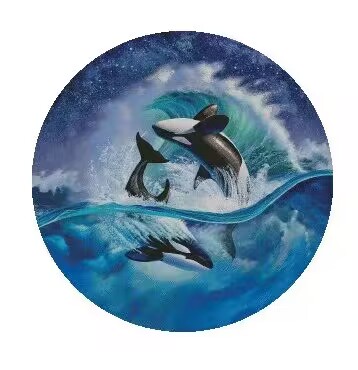 Embroidery Whale - Beaux kit de baleines à coudre