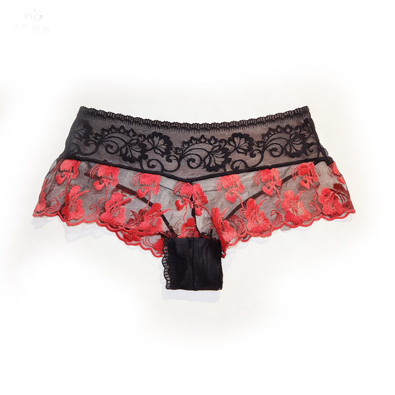 【1 pièce】lingerie femme ultra  - Embroidery Red avis et prix